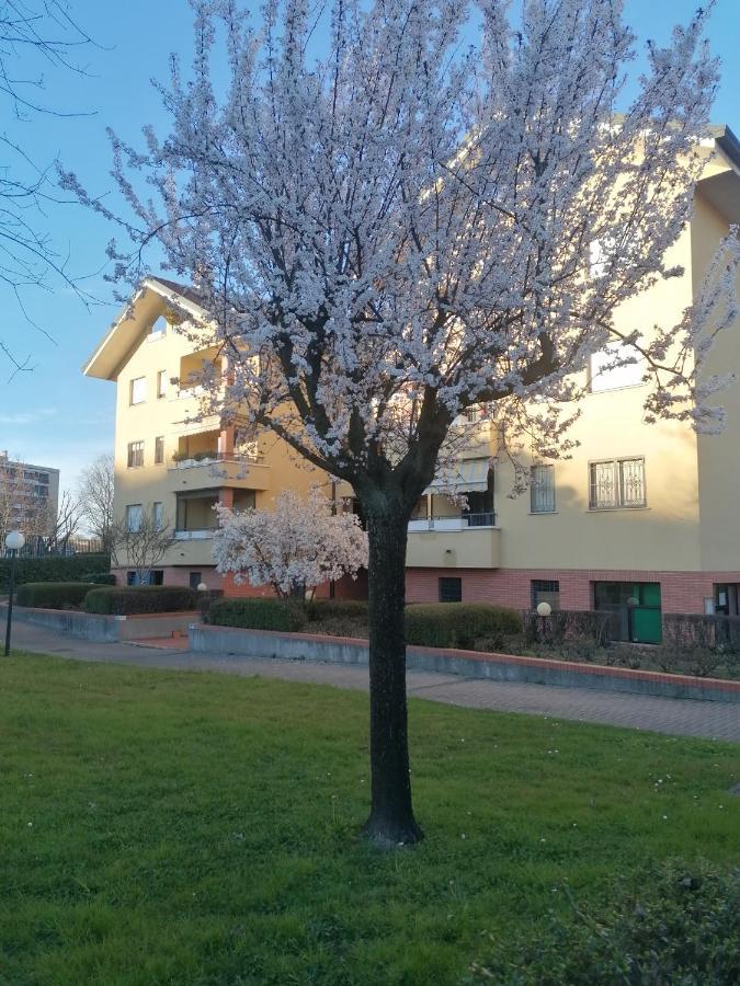 La Casa Blu- Forum Di Assago, Ospedale Humanitas, Milanofiori, Ieo Pensión