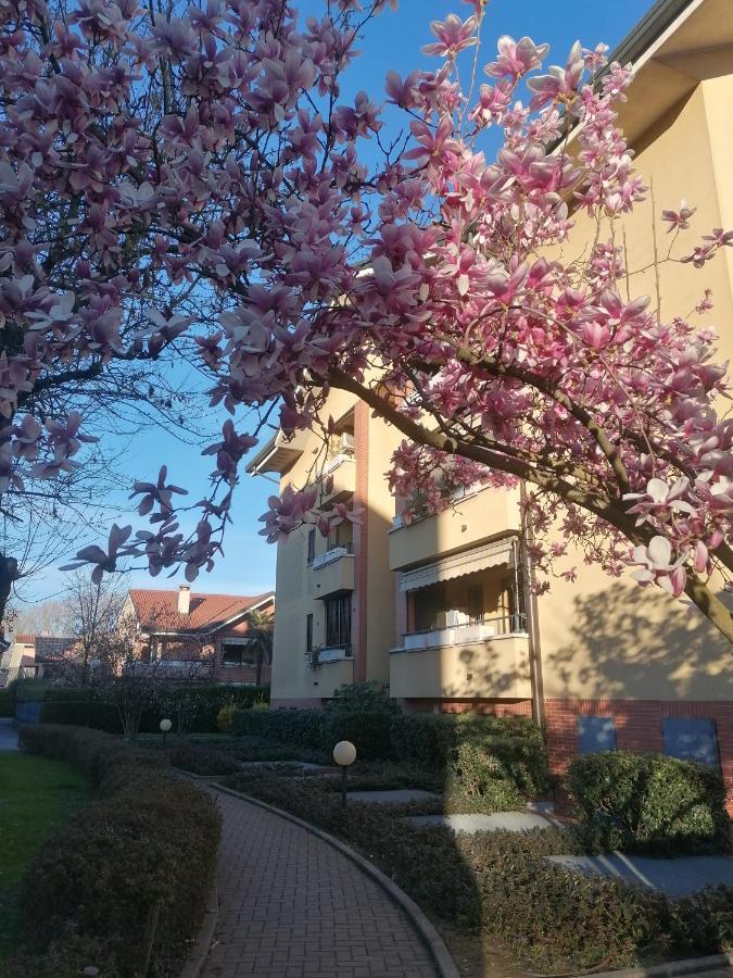 Pensión La Casa Blu- Forum Di Assago, Ospedale Humanitas, Milanofiori, Ieo *