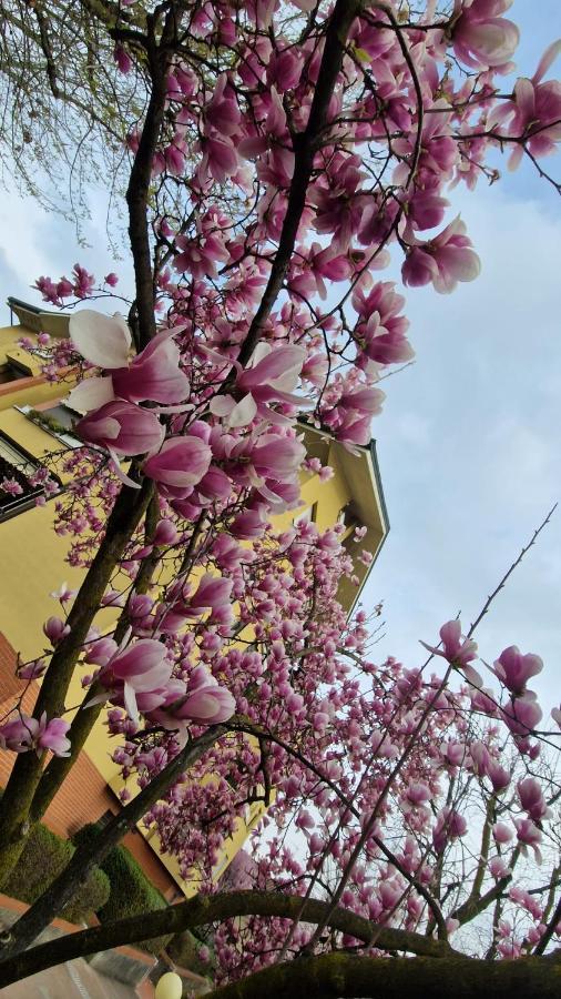 La Casa Blu- Forum Di Assago, Ospedale Humanitas, Milanofiori, Ieo Affittacamere Rozzano