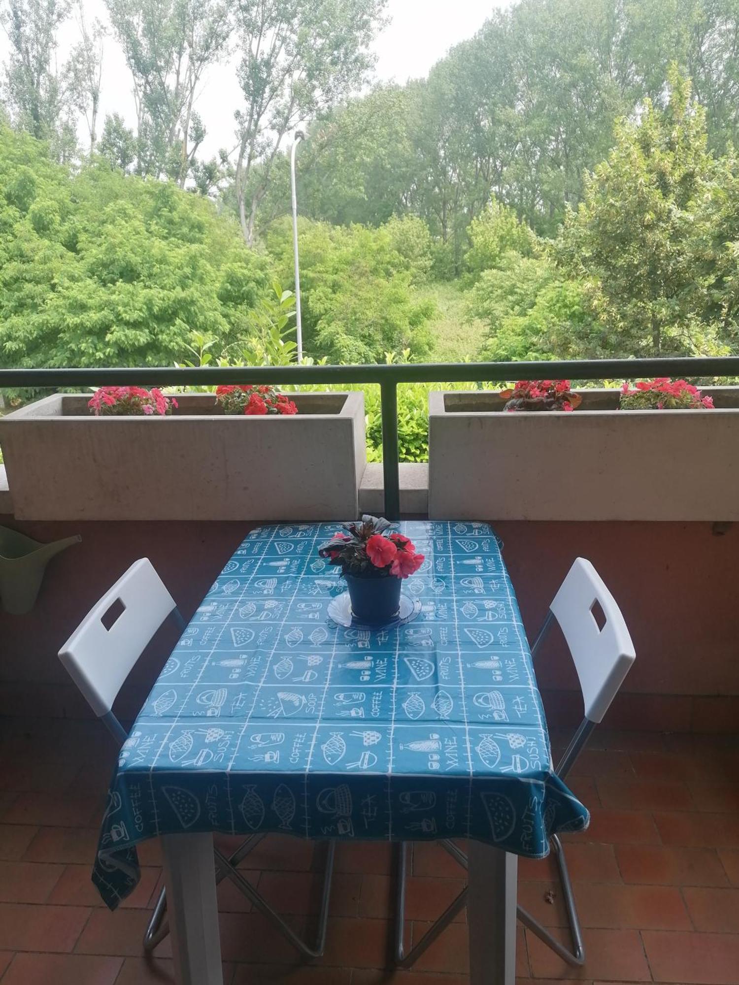 La Casa Blu- Forum Di Assago, Ospedale Humanitas, Milanofiori, Ieo Affittacamere Rozzano